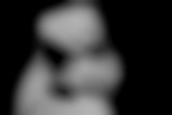 Member Image