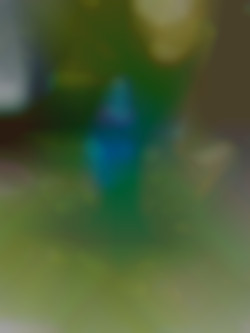Member Image