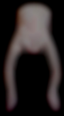 Member Image