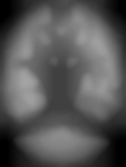 Member Image