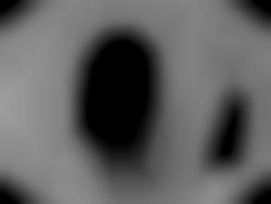 Member Image
