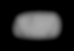Member Image