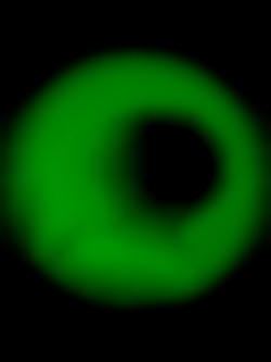 Member Image
