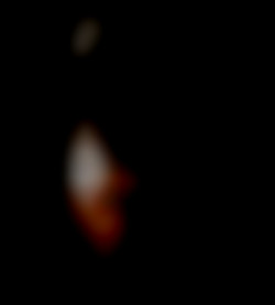 Member Image