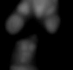 Member Image