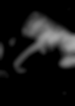 Member Image