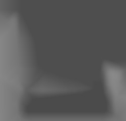 Member Image