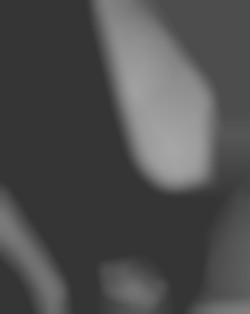 Member Image