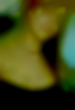 Member Image