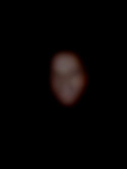 Member Image