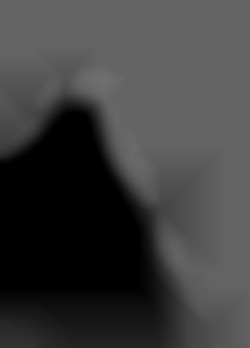 Member Image