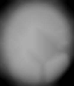 Member Image