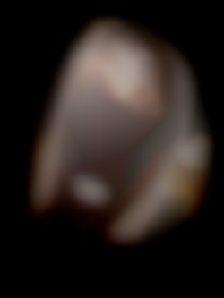 Member Image