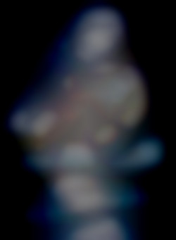 Member Image