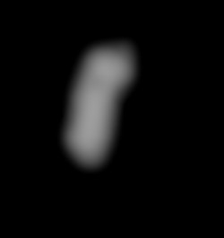 Member Image