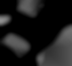 Member Image