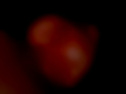 Member Image
