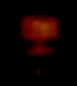 Member Image