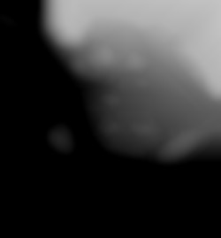 Member Image