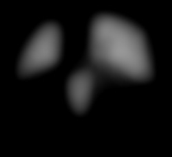 Member Image