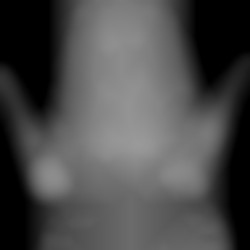 Member Image
