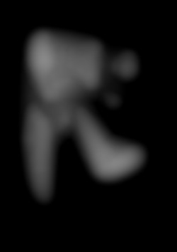 Member Image