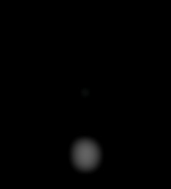 Member Image