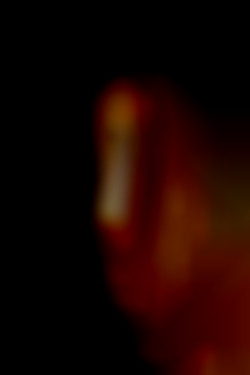 Member Image