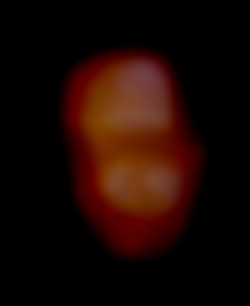 Member Image