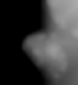 Member Image