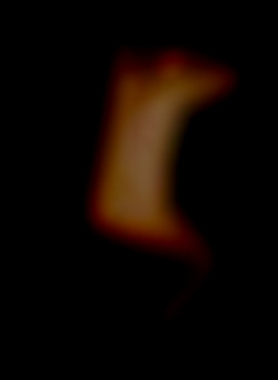 Member Image