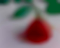 Member Image