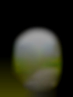 Member Image