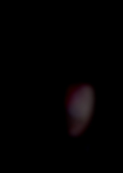 Member Image