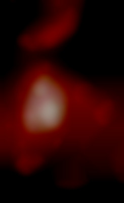 Member Image
