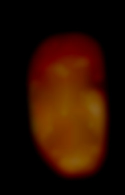 Member Image