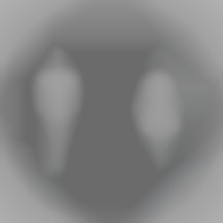 Member Image
