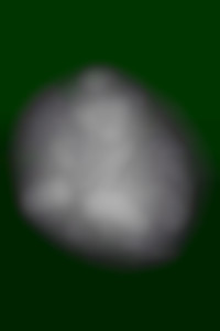 Member Image