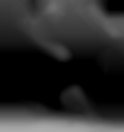 Member Image