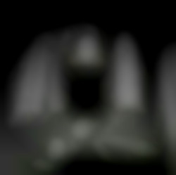 Member Image