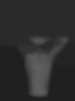 Member Image