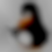 Member Image