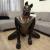 Rubberdog Rosco