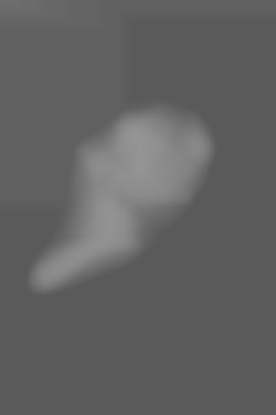 Member Image