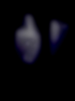 Member Image