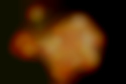 Member Image