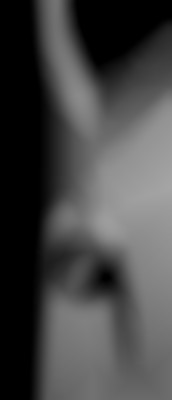 Member Image