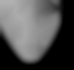 Member Image