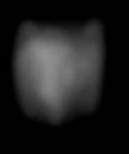 Member Image