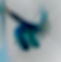 Member Image